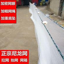 �����W���W�ϾW�����W�O�WС�~�����W���q�W���~�WС�r�~���~