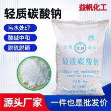 海化纯碱污水处理洗涤助剂膨松剂酸碱中和轻质碳酸钠工业级碳酸钠