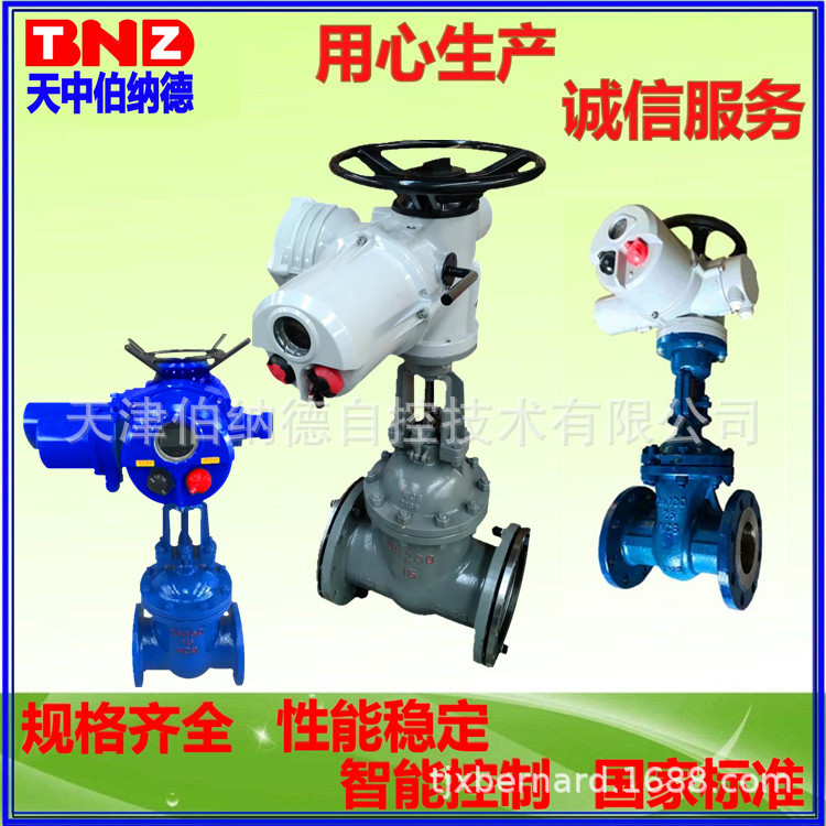 整体型电动闸阀_副X2001