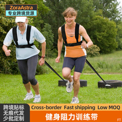 雪橇拉力背帶健身體育用品阻力訓練速度敏捷跑步輪胎拉線抗練習帶