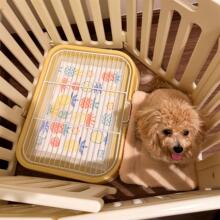 ������������ʺ��С��Ȯ�бP��������������趨�c�ű���