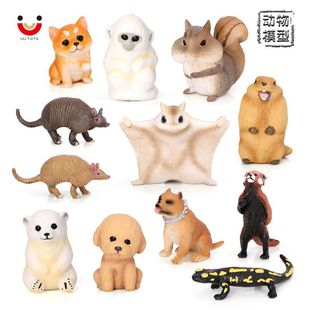 �羳�u��С����ģ�ͷ���С؈�ܲ�Ȯ�������z������w�������[��