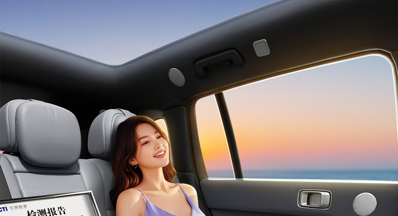 Suitable for Daimler Denza N8L Floor Mats, Full Coverage, 25 New Model Car Interior Decoration Modification Accessories, Trunk Mat Supplies