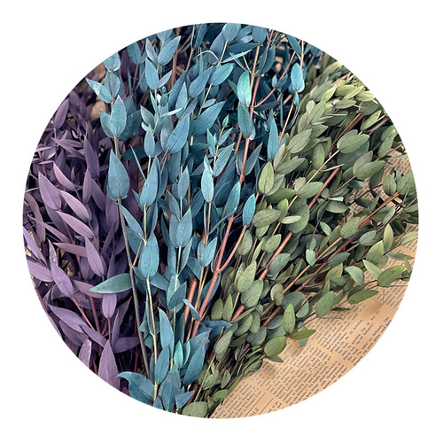 Eternal Fine Leaf Eucalyptus Scented Candle Yunnan Manufacturer Eternal Flowers Home Decor Cross-border Dried Flowers Small Sharp Leaves