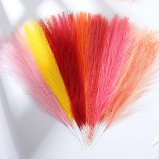 �W�t��������滨��ɫ�JȔ�ݷ��柟����W�tins�L�҃Ȼ鷿�[��