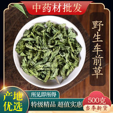 药材车前草干野生车前茶材精选克新鲜干货新货另售车前子中药批发