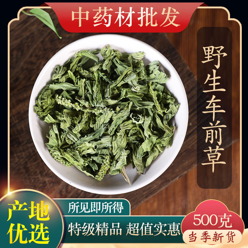 药材车前草干野生车前茶材精选克新鲜干货新货另售车前子中药批发