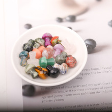 ��Ȼˮ��Ģ��2cmԭʯ���Ģ������׷�СĢ�����^diy�[�������b�