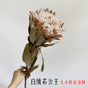 [Dried Flower Princess] South African Princess Wabi-Sabi Air-Dried Flowers