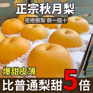 �Fժ����������ɽ�|�R��������rˮ������ժ������ЋD���]���l