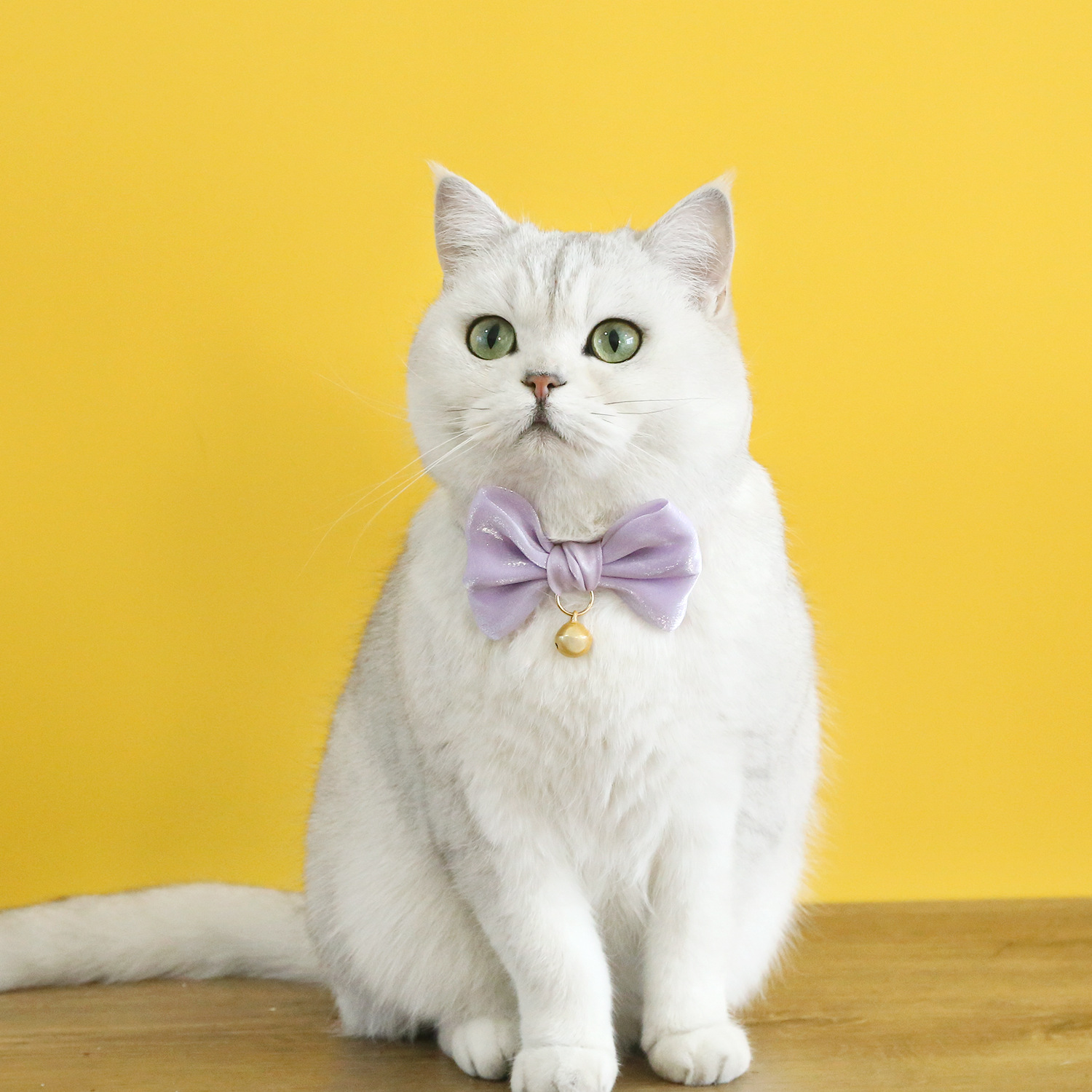 Mascotas gatos Teddy perros de terciopelo princesa colorida perlada arco anti-asfixia collar campanas de ensueño corbata cadena