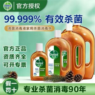 蝴蝶贴纸脸部