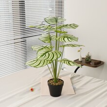 Q60cmO~^~S~辰bGֲl