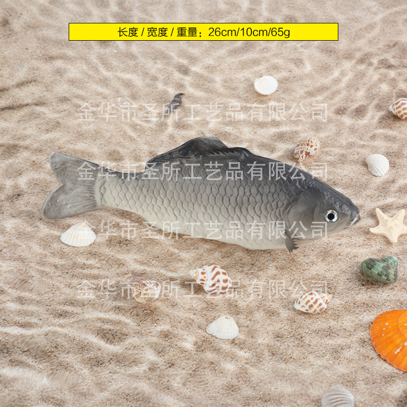 회색 잉어 M사이즈