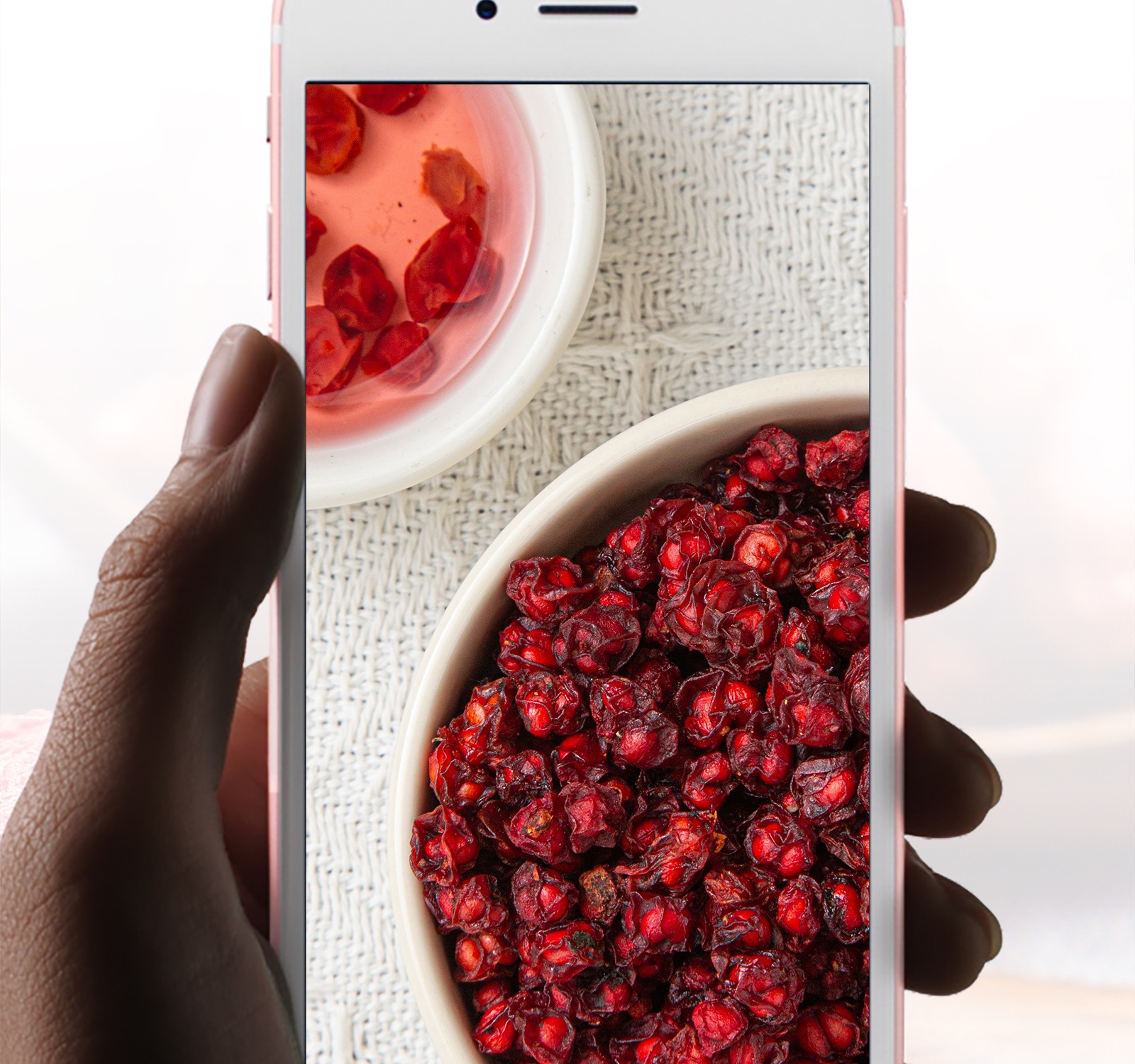 Premium Changbai Mountain Schisandra Berries Wu Wei Zi Dried Whole Fruit 500g preparation