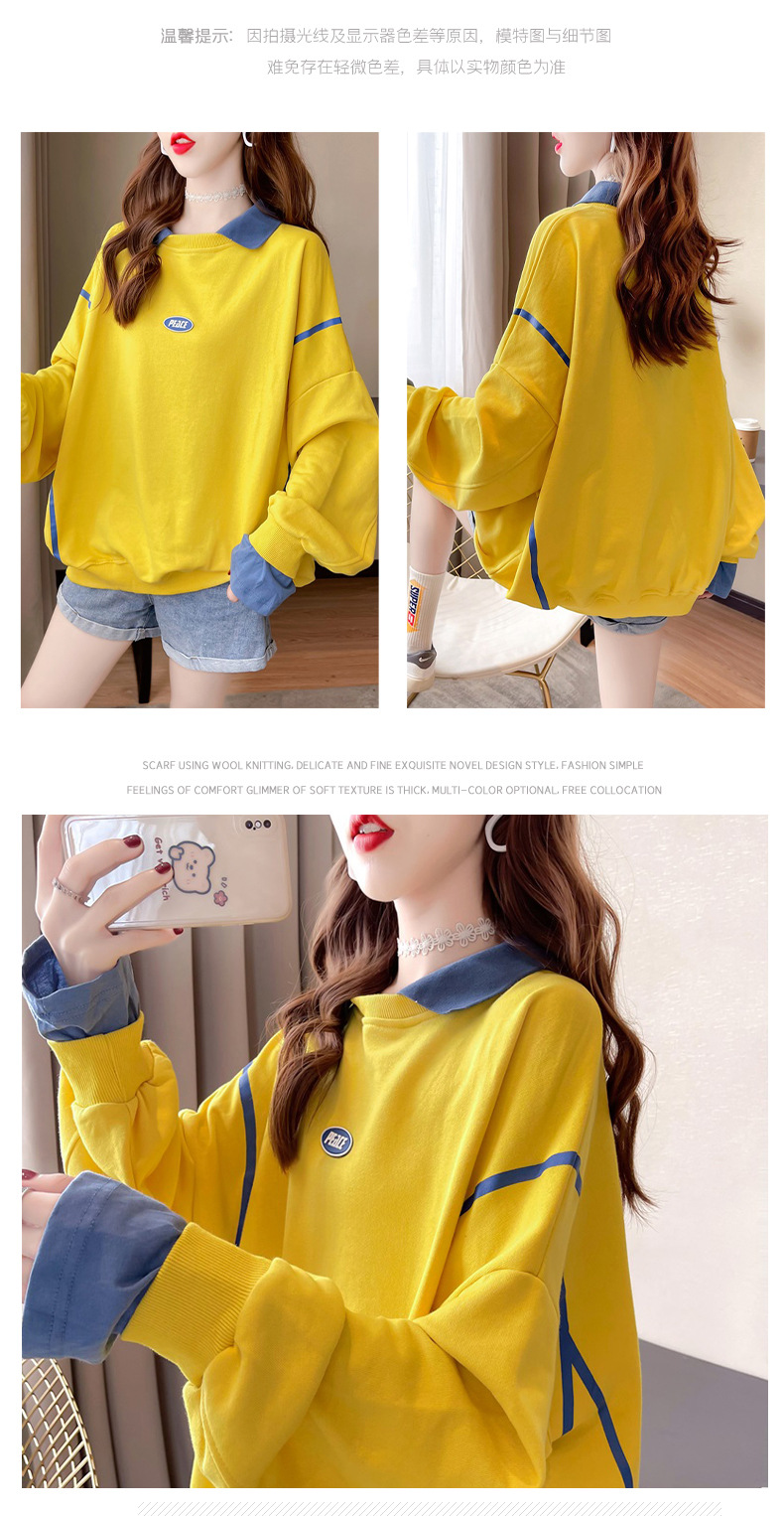 12_O1CN01sWcYT71oiDDr0nI1J_!!1