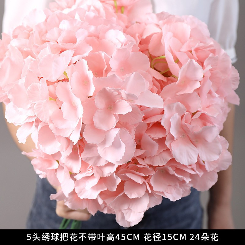 New 5-head hydrangea without leaves