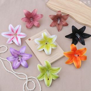 ����ˇ�ٺϻ��^3d��ӡ�z��������Wʽ�͹ŰٺϷ��b���DIY�廨