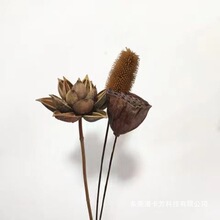 禅意干花天然插花diy荷花束客厅装饰摆设件复古松果真花风干莲蓬