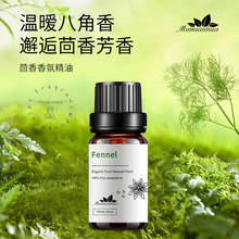Fennel���� �ݱ��η����ͺ��⌣�� 혚⽡Ƣ����ȥ��ɢа10ml��Ʒ