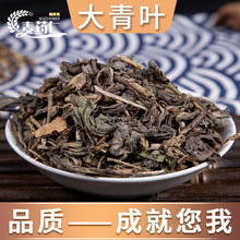 大青叶 板蓝根叶子 大青叶干粉 亳州中药材批发 中草药 药食同源