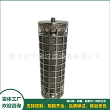 ����������оP-GSL N 20/30Һѹ��о1313176������о