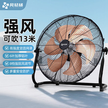 �L�p��I��L�ȏ�������̨��ʽ����ȹ��������ش��L��ſ����