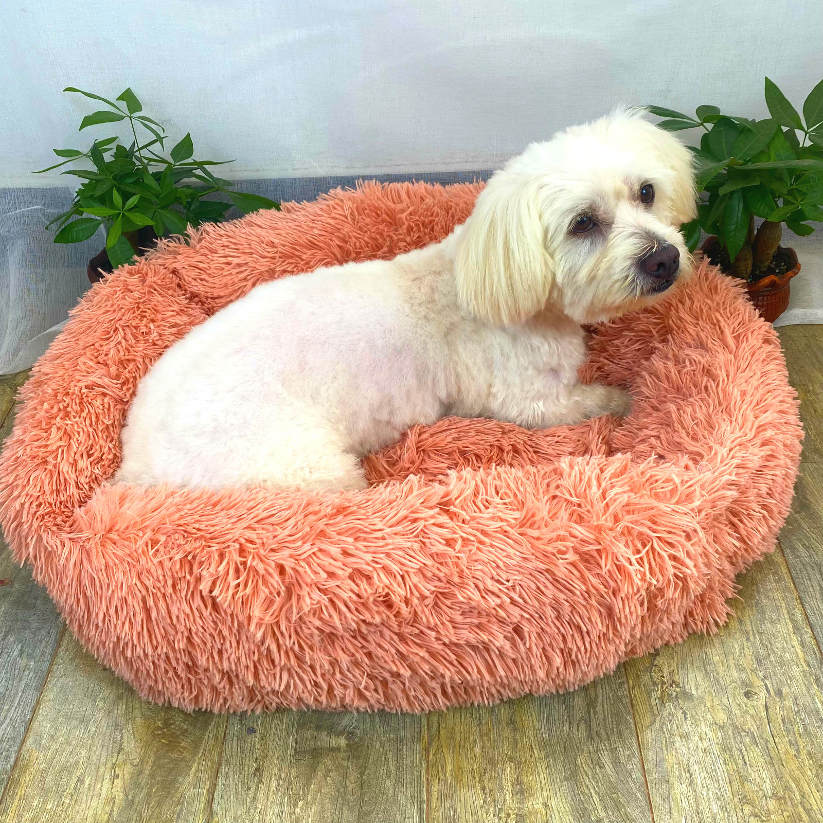 微信图片_20210802133827_meitu_3