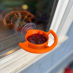 Bird Feeder Window Suction Cup Holder�������Pʽ�Bʳιʳ��