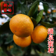 ������m���۽��硿�o���S��ӿȪ�������챾��������۸����Ә���