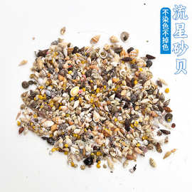 小贝壳小海螺按斤卖 流星贝沙粉砂螺贝微贝芋螺宝螺笋螺酸浆贝红