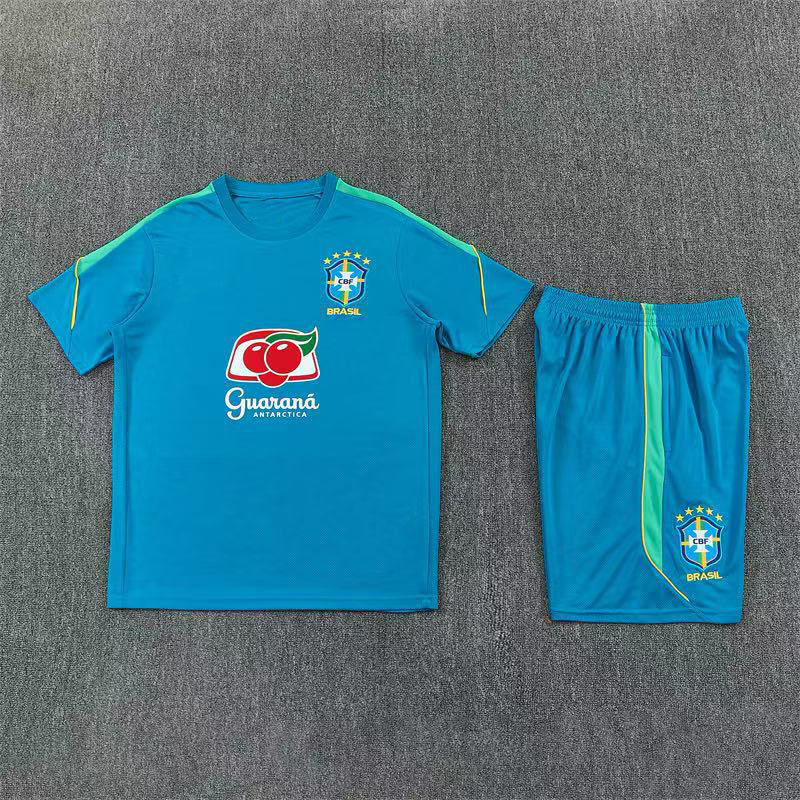 2627 Brazil Lake Green