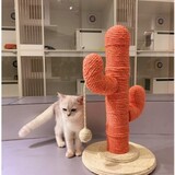 Кошка скалолаза рамка интернет знаменитость кактус кот гнездо Тонгтианьжа Сизаль Кот царапин