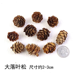 �����~���ɹ��������������L��֓u��朶�����DIY���ϰ��ɹ�