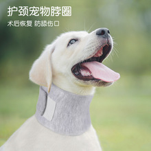 亚马逊新品宠物护颈脖圈  可调节舒适宠物脖套 术后防舔狗脖套