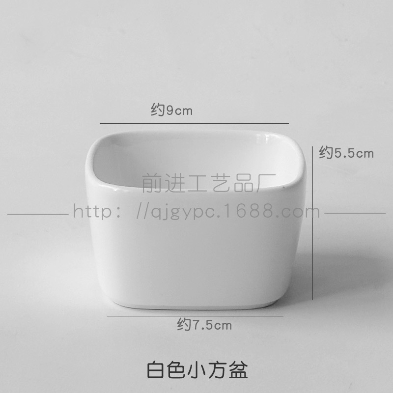 멀티 고기 분지 흰색 작은 광장