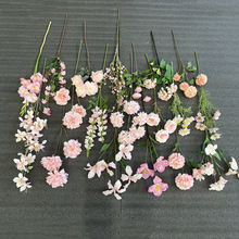 ¿ɫϵз滨õ彑mcY·廨