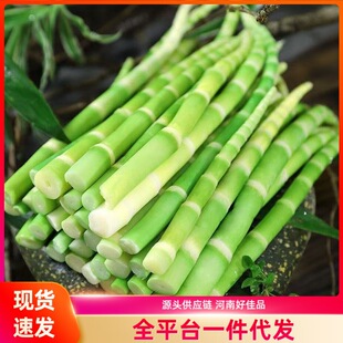 翡翠绿笋子高山青笋新鲜脆嫩小竹笋尖火锅串串食材脆嫩爽口涮火锅-阿里巴巴