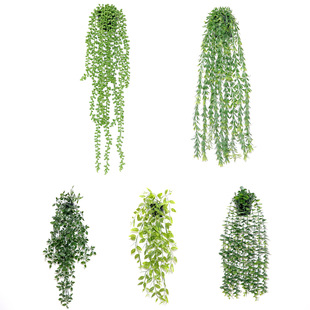 �羳�������m�����˜I������������_�ȼ����ٗl����㶹�Ғ�����