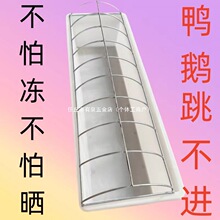 �¿�ι���Zʳ���ˮ�������ϲ��L���θ߉�ţ�����ϼ����Bֳιˮ