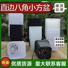 直边多角方盆多肉育苗盆基地花盆加厚跨境电商黑色白色方形盆盆栽