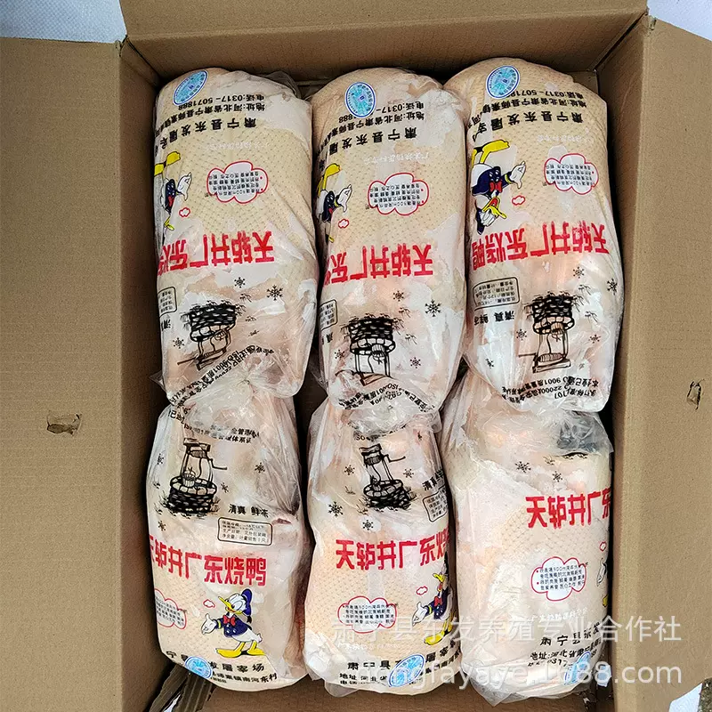 厂家供应新鲜冷冻鸭烧鸭 天轳井广东烧鸭 酒店餐厅用鲜冻烧鸭