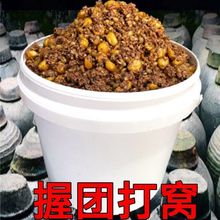 ���׸C�ϰl��С���ω�����s�ZҰ��a�~�~���~���~�D�Ͼ���Ͱ�b