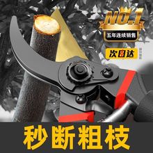 进口SK5强力园艺剪不锈钢省力修剪枝果树粗枝树枝专用剪子