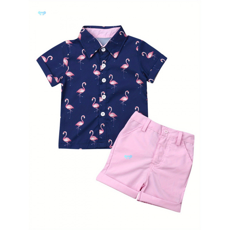 1 Set Toddler Boys Flamingo Print V Neck Shirt and Solid跨境|ru
