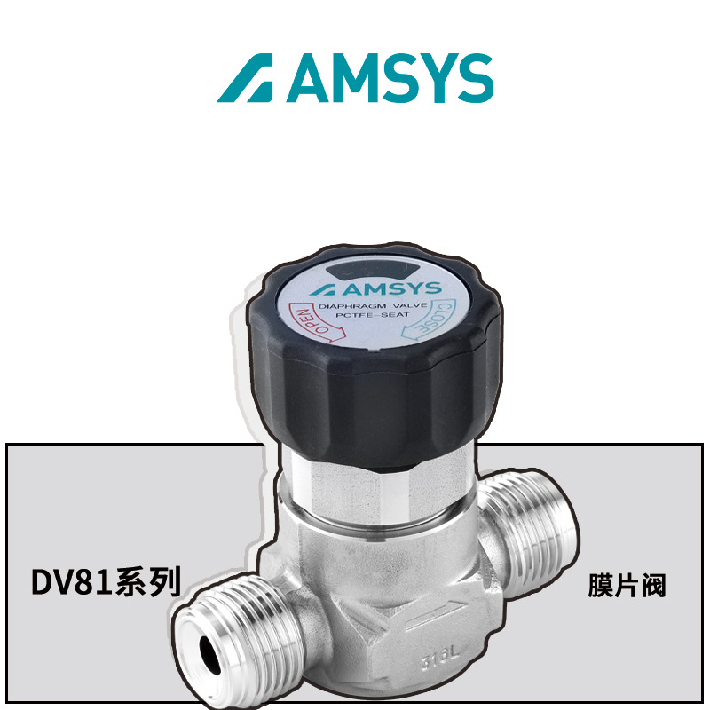 DV81膜片阀
