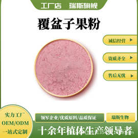 覆盆子果粉 树莓粉覆盆子果汁粉 水溶覆盆子果蔬粉 量大从优