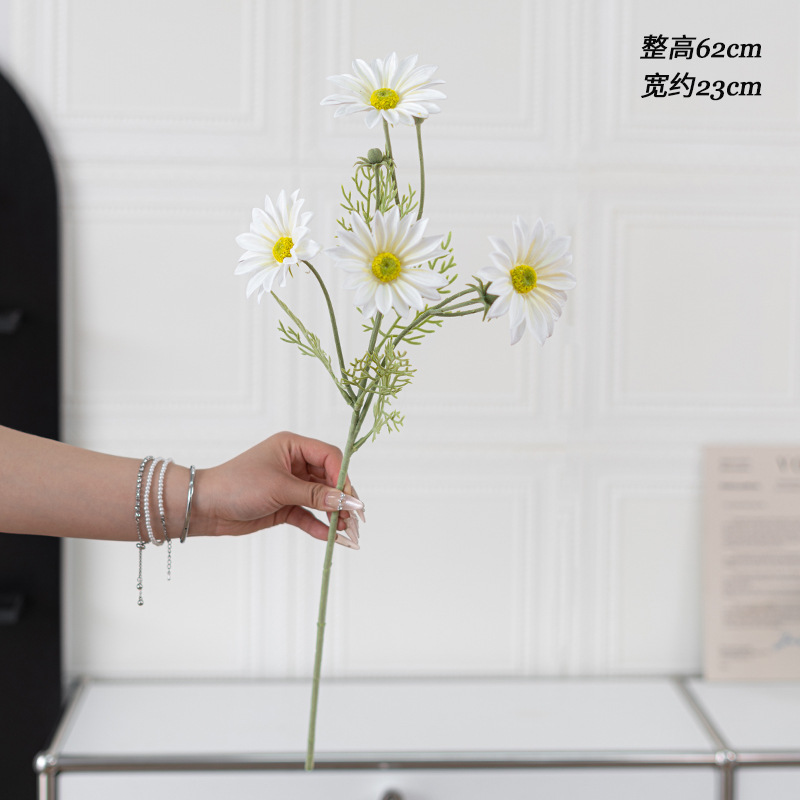 흰색 느낌의 여름 국화 단일 지점