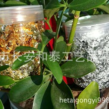 �h���~�� �X�y�� Ƭ�b �鲭�b���й�ˇƷ�bҾߺ͔[���N����