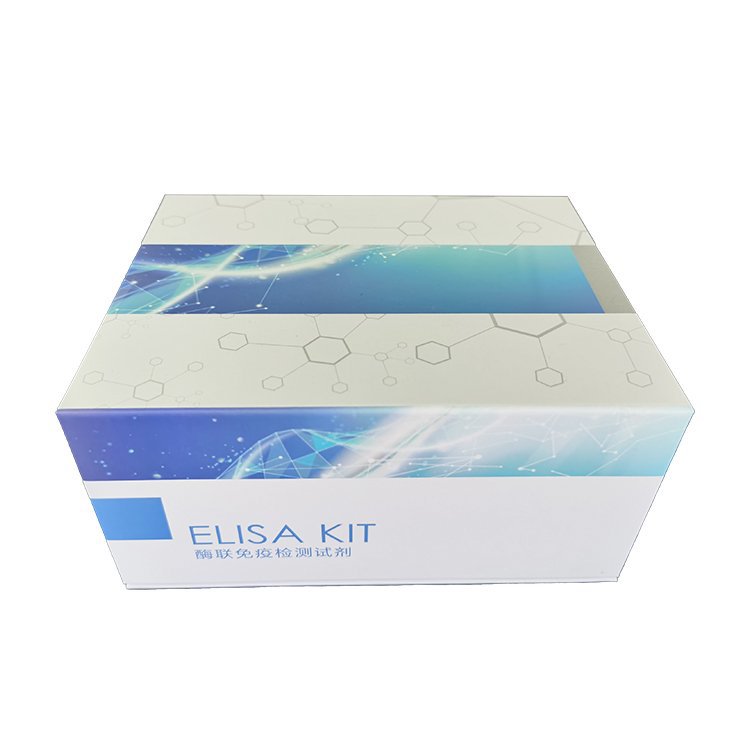 蛋白酶K 现货直供 江苏工厂 含税 浙江 含运费 仓库现货 基地直供
